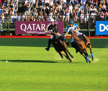 francisco-deane-457549-unsplash Polo Event
